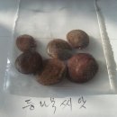 차칸농부