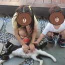 신북방앗간 이미지