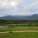 구례향기 이미지