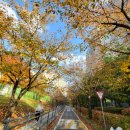 수지체육공원 농구장 이미지