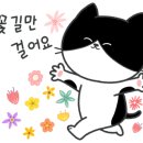 멜버른승마 이미지