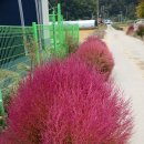 명주농장 이미지