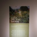 영원한 빛의 화가 모네와 인상파전 | 대구MBC엠가 영원한 빛의 화가 모네와 인상파전-레플리카체험 관람 후기