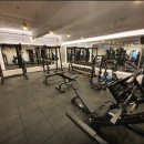 베스트핏 이미지