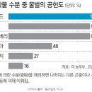 해오름 농산물 이미지