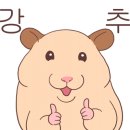 홍춘천치즈닭갈비부대찌개청천1점