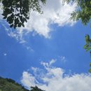 단양힐링미션민박 | 남해로 여름휴가2일차 (용소계곡유원지,독일한옥민박 별빛)