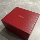 압구정-269 | 까르띠에 탱크 머스트 라지 내돈내산 후기: 역시 까르띠에…!❤️