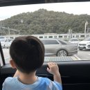 신비바이크 | [춘천 당일치기 여행] 김유정 레일바이크 낭만열차