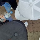 [추가접수]2024부모교육 | 2024 경주국제마라톤 후기, 기념품, 코스, 주차