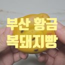 황금복돼지 | 부산황금복돼지빵 귀여운 부산 여행 선물