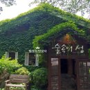 숲속의 섬 이미지