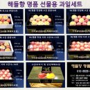 해들향 네이버블로그