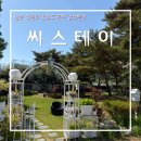 강화도 늘푸른 펜션 | 인천/강화] 씨스테이: 강화도 감성펜션 후포항펜션으로 추천하는 숙소 후기