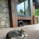 애월의남자 민박 이미지