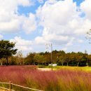 하단동1240 이미지