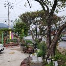 득량미용실 이미지