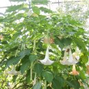 동부평생문화센터 이미지