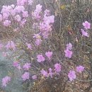 생명예찬2 이미지