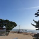 (야간)타로심리상담사 이미지