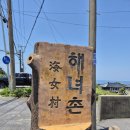 [취향 저격] 제주 동쪽 맛집 촌촌 해녀촌 후기 (구 해녀촌 / 아이와 가기 좋은 식당)_내돈내산