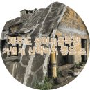제주도 성이시돌목장 가볍게 산책하기 좋은 곳