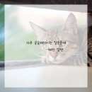 두근두근한의원 이미지