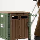 셀스타트 이미지