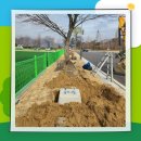 삼성체육공원 이미지