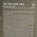 창녕 교동 고분군 이미지