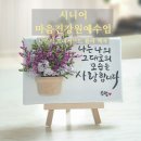 신대노인종합복지관 이미지