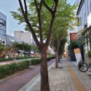 망포 래미안 앞 이미지