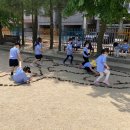 보정초등학교(병설) 이미지