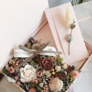 레베플레르