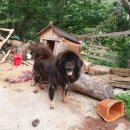 송림톱밥 이미지