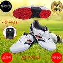 85 이미지