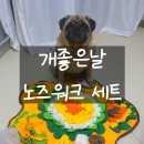 개좋은날 이미지