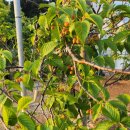 영림농장 이미지