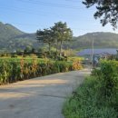 두승농장 이미지