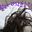 요요헤어 이미지