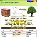 태양과 기가솔은 차원이 다릅니다 이미지