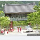 일주문 Daum카페