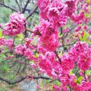 해오름길 이미지