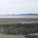 대천1통노인회관 | 서해랑길 보령 60코스 (대천해변 - 깊은골버스정류장) 2024.02.27