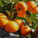 유수암돌집 민박 이미지