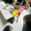 여시발바닥 | 스물넷 여전히 모지리