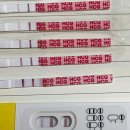 (주)청라통상 | 부천 마리아병원 시험관 신선이식 1차 성공후기 _ 자궁외임신?