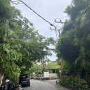 Playa | 우기발리 사누르 선셋 바다 바로 앞 식당 :La Playa Cafe(라플라야)워크인 후기