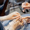 수백 이미지