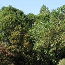 청남대 진입로 이미지